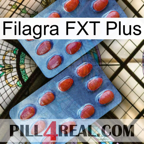 Filagra FXT Plus 05.jpg